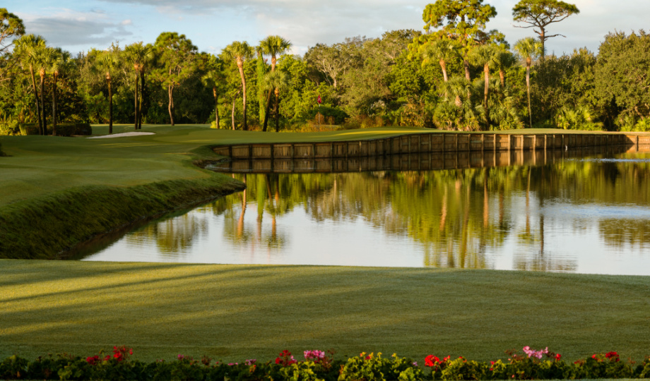 The Nest Golf Club Water Hazard, Bonita Springs, Florida